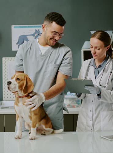 healthcare and life sciences case study ethos 370x500 resized