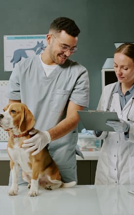 healthcare case studies 6 275x440 resized